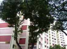 Blk 101 Jalan Rajah (Toa Payoh), HDB 4 Rooms #406162